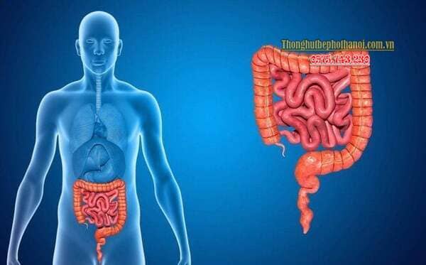 Vì sao tư thế ngồi bồn cầu đúng cách lại quan trọng?