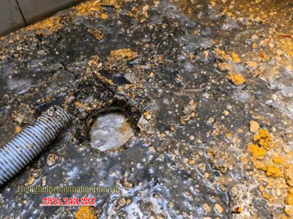 Bể phốt trào ngược có nguy hiểm không? Chuyên gia giải đáp