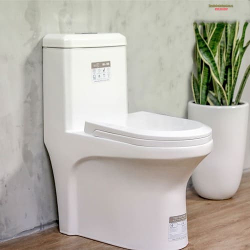 Các dòng sản phẩm phổ biến của bồn cầu Basics