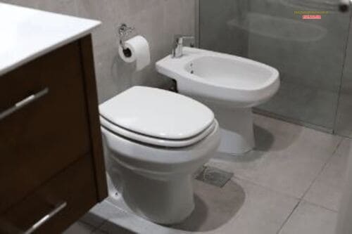 Có nên dùng bồn cầu Basics không?