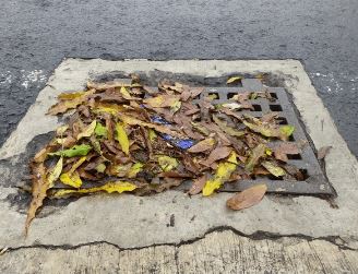 Nguyên nhân khiến cống ngưng thoát nước mưa nghiêm trọng