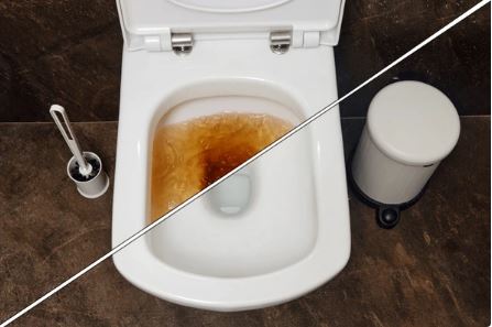 Dấu hiệu cảnh báo nhà hàng cần sử dụng dịch vụ thông tắc cống