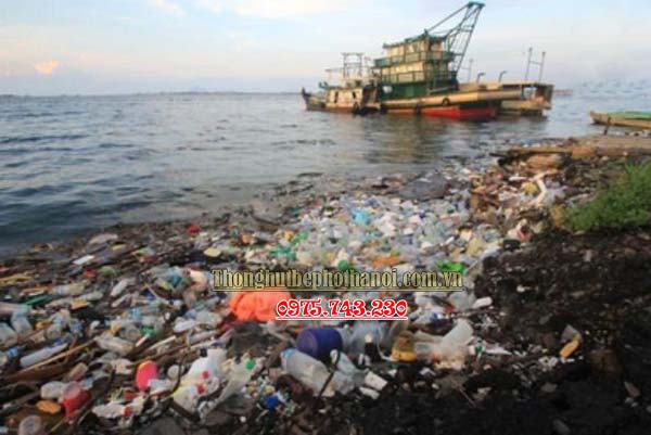 Nghị luận về ô nhiễm môi trường biển