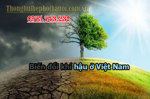 nguyen-nhan-bien-doi-khi-hau-o-viet-nam-va-mot-so-bien-phap-ung-pho