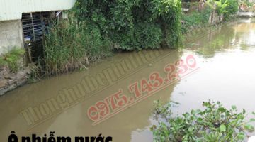 Nguyên nhân gây ô nhiễm môi trường nước & biện pháp khắc phục