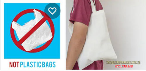 Hạn chế sự dụng túi nilon hoặc thay thế túi nilon bằng túi giấy, túi xách có thể tái sử dụng được: