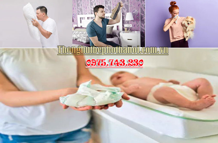 Nguyên nhân phòng ngủ có mùi hôi thối, ẩm mốc khó chịu